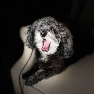 Meet your Posher, Becky